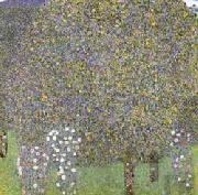 Gustav Klimt Rose Bushes Under the Trees china oil painting reproduction